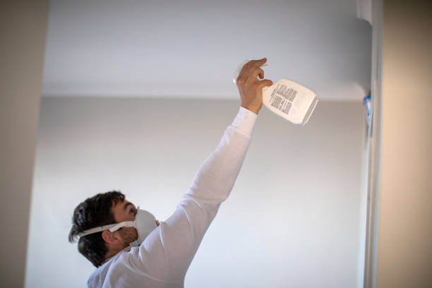 Best Bathroom Mold Remediation in Parsons, TN