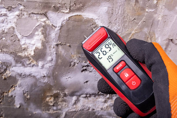 Best Kitchen Mold Remediation in Parsons, TN
