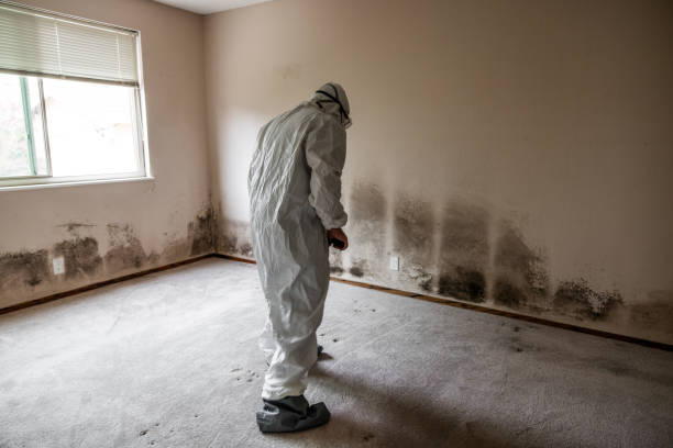 Best Industrial Mold Remediation in Parsons, TN