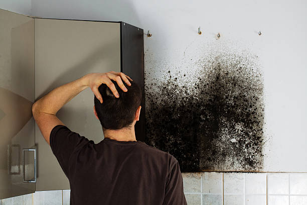 Best Post-Flood Mold Remediation in Parsons, TN